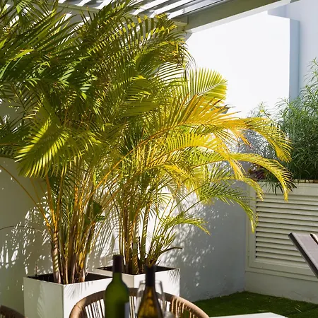 Willa Porto Mare 42 With Heated Pool On The Front Line By Canaryscape Pasito Blanco